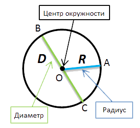 Окружность 6 класс. Центр, радиус и диаметр окружности